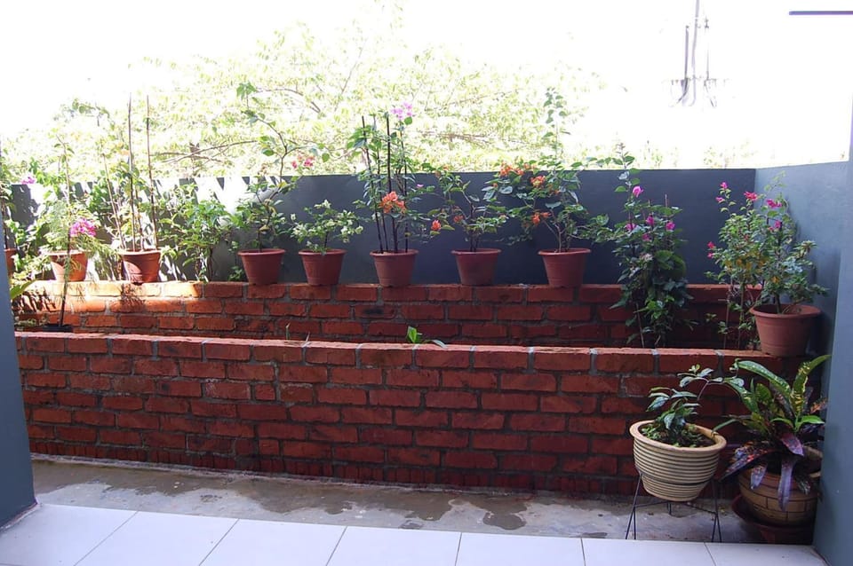 Patio, Garden view