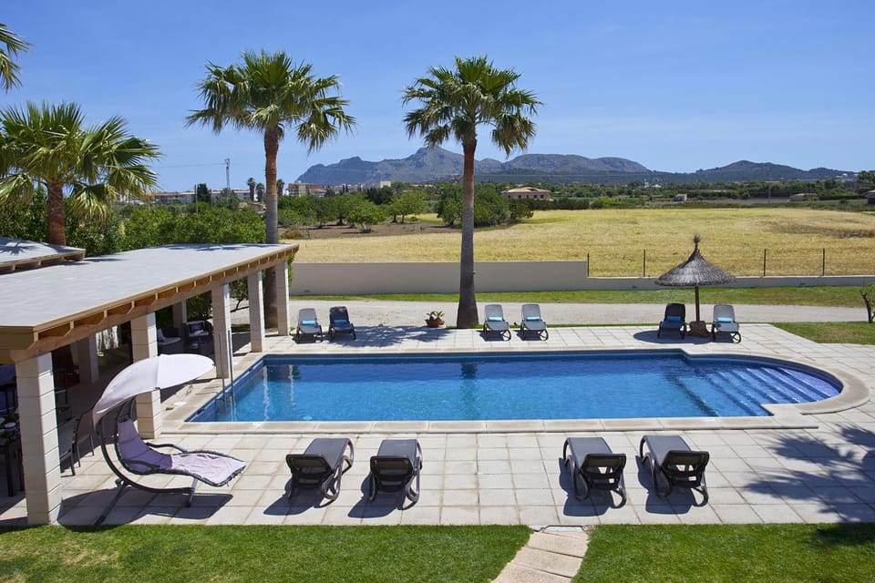 Patio, Garden, Garden view