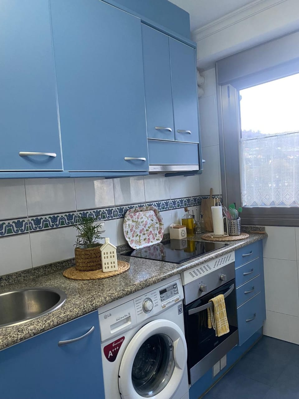 Kitchen or kitchenette, minibar, pet friendly, stove, washing machine