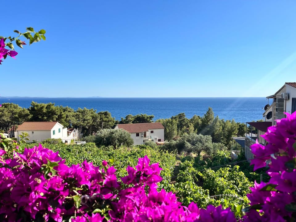 Apartmani "Nikola" Seaview - Ivan Dolac, Hvar Apartment in Dubrovnik-Neretva County