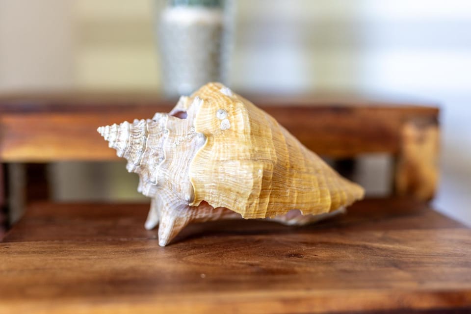 Strandstraße 2 Treibgut Apartment in Laboe