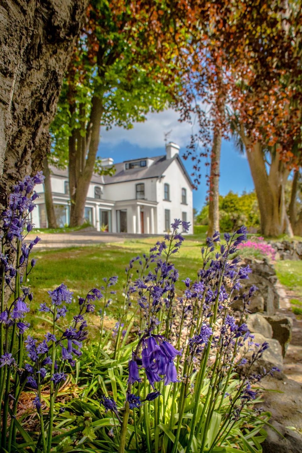 Altahammond House Bed and Breakfast in Northern Ireland