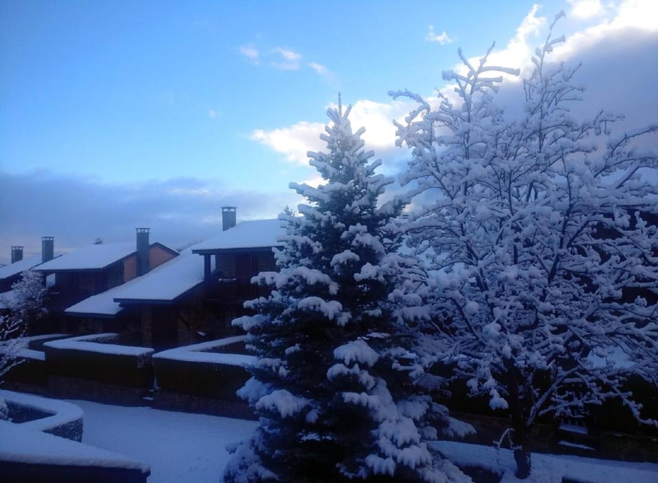 Natural landscape, Winter