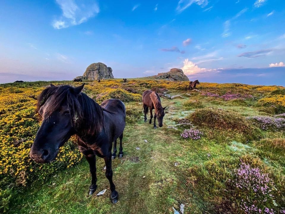 Nearby landmark, Day, Neighbourhood, Natural landscape, Hiking, Animals