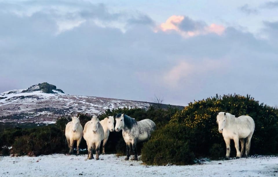 Nearby landmark, Day, Natural landscape, Winter, Hiking, Animals