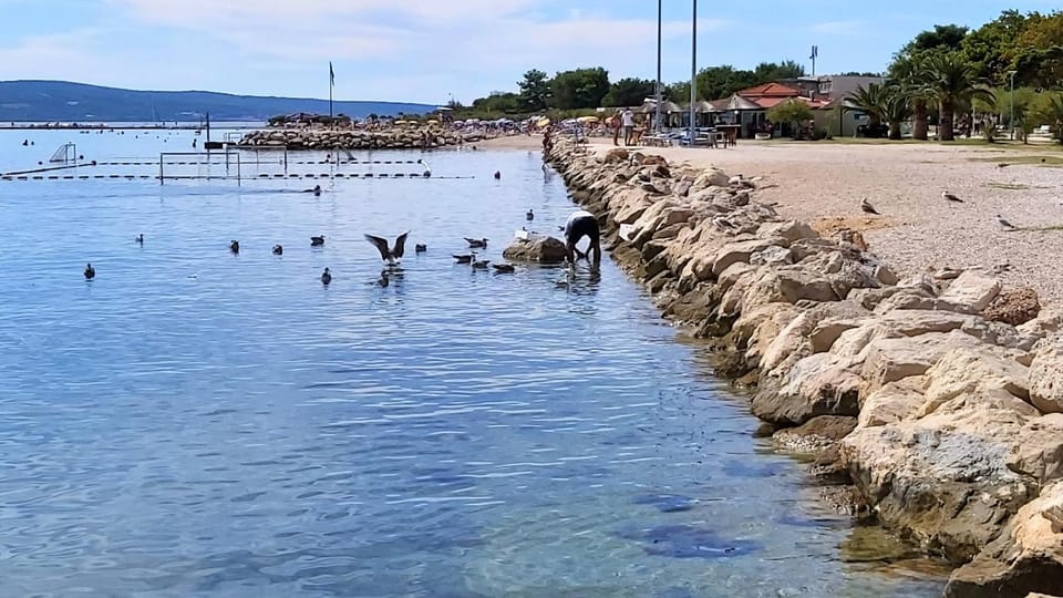Off site, Natural landscape, Beach