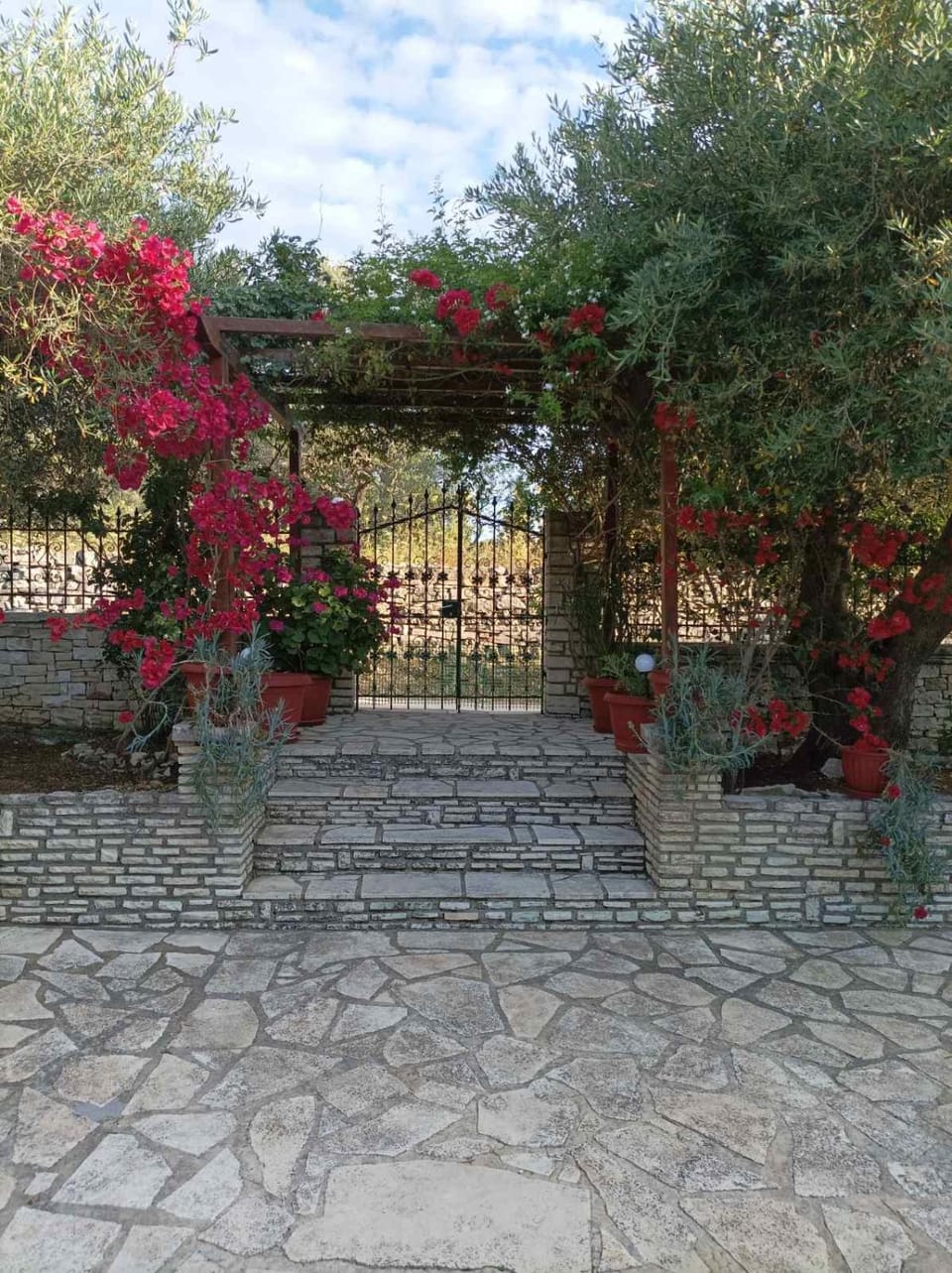 Villa Olive Garden, Kastanida - Paxoi Apartment in Peloponnese, Western Greece and the Ionian