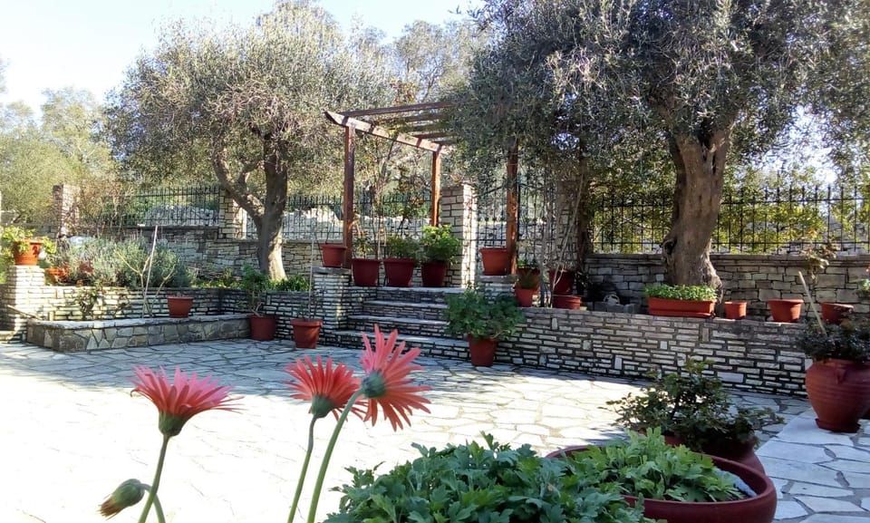 Villa Olive Garden, Kastanida - Paxoi Apartment in Peloponnese, Western Greece and the Ionian
