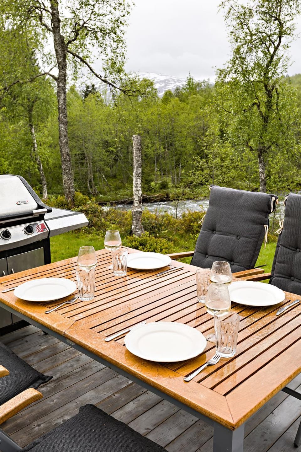 Patio, BBQ facilities, Dining area