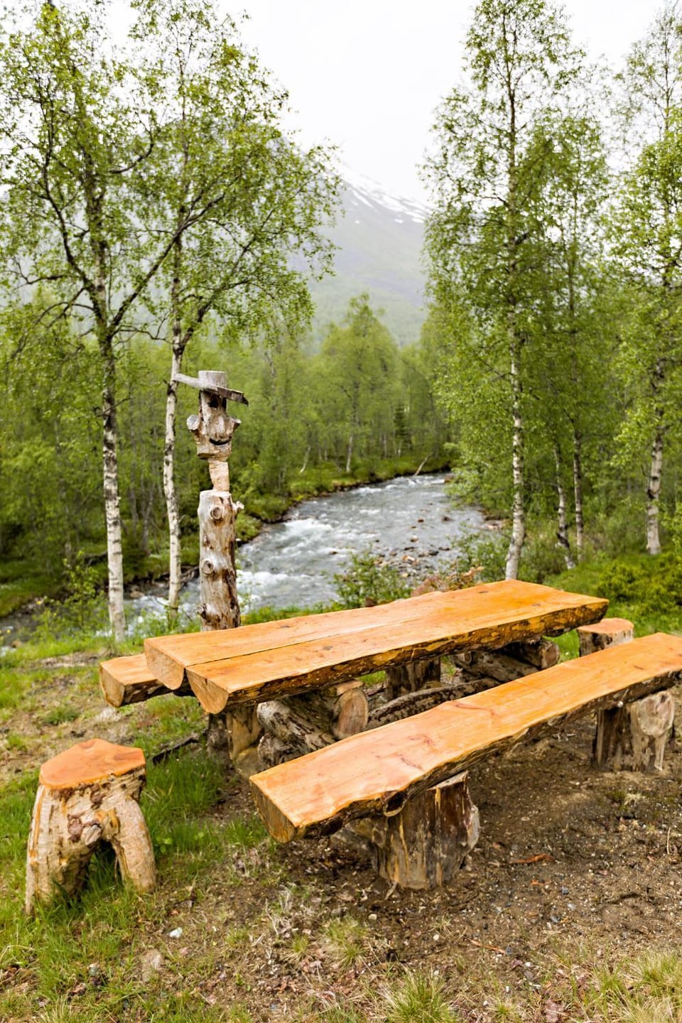 Natural landscape, Garden, River view