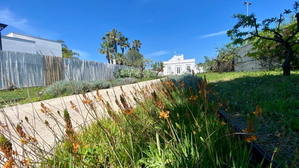 Villa Matinella Villa in Apulia