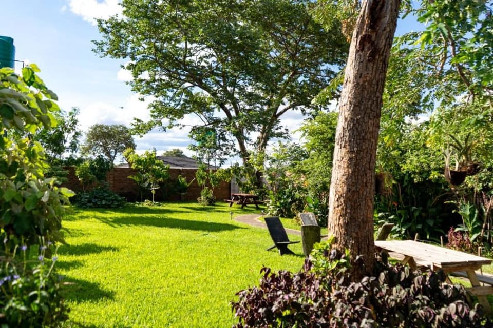 Spring, Day, Natural landscape, Garden, Garden view