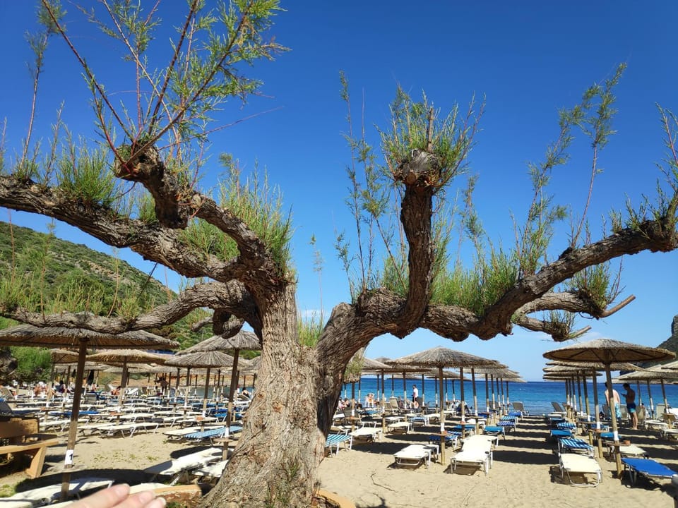 Natural landscape, Beach