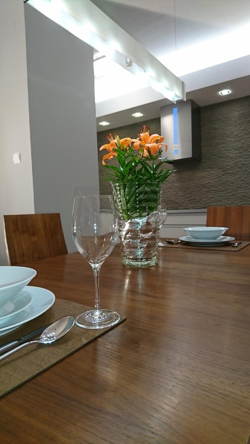 Quiet and spacious apartment with garage option Apartment in Krakow