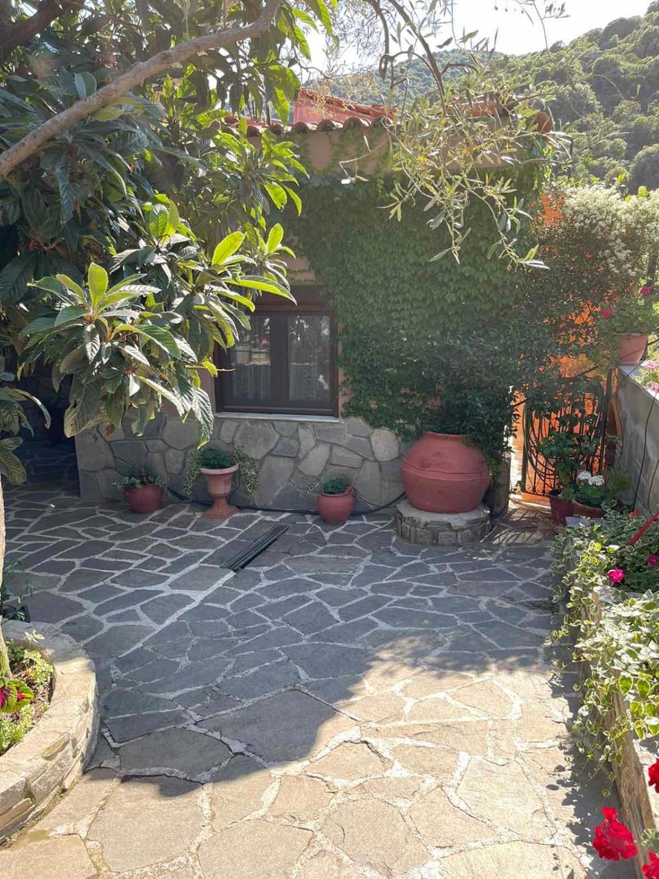 THEODORAS HOUSE Country House in Decentralized Administration of Macedonia and Thrace