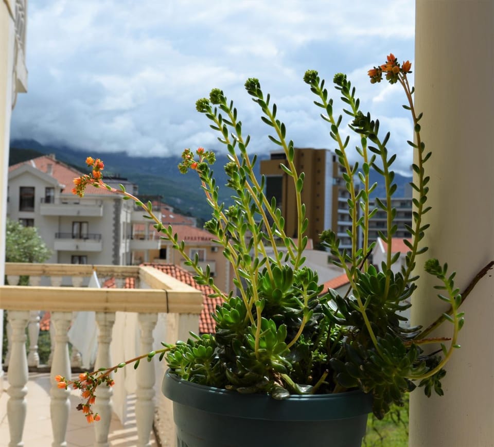 Day, Natural landscape, View (from property/room), Balcony/Terrace