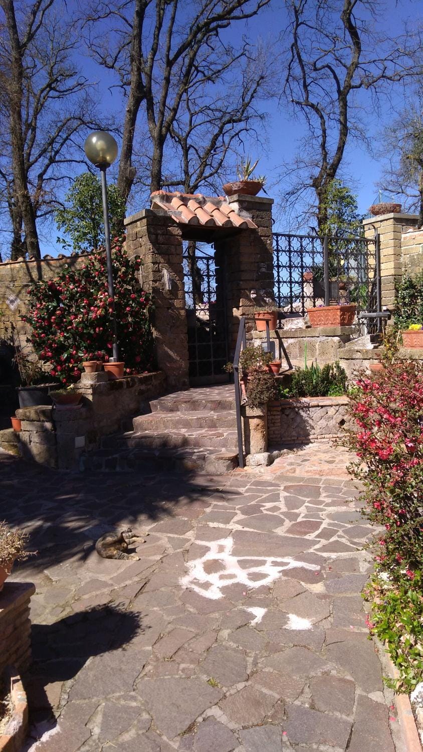Spring, Garden, Garden view