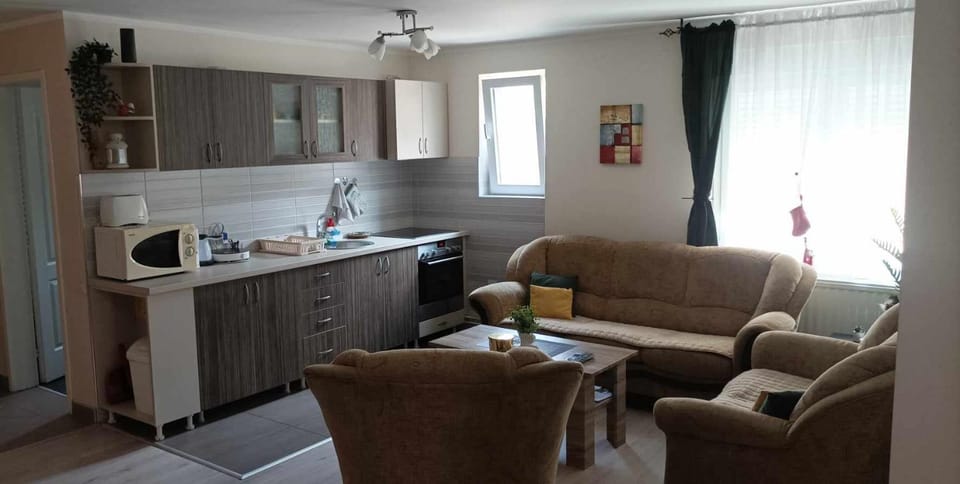 Living room, kitchen