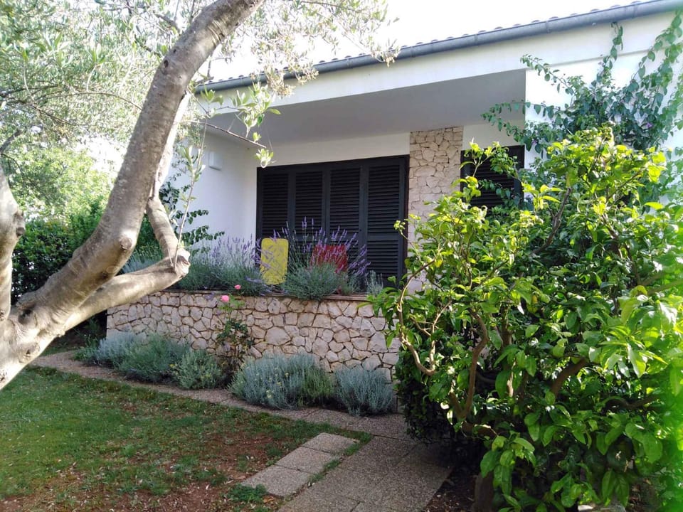 Property building, Summer, Garden