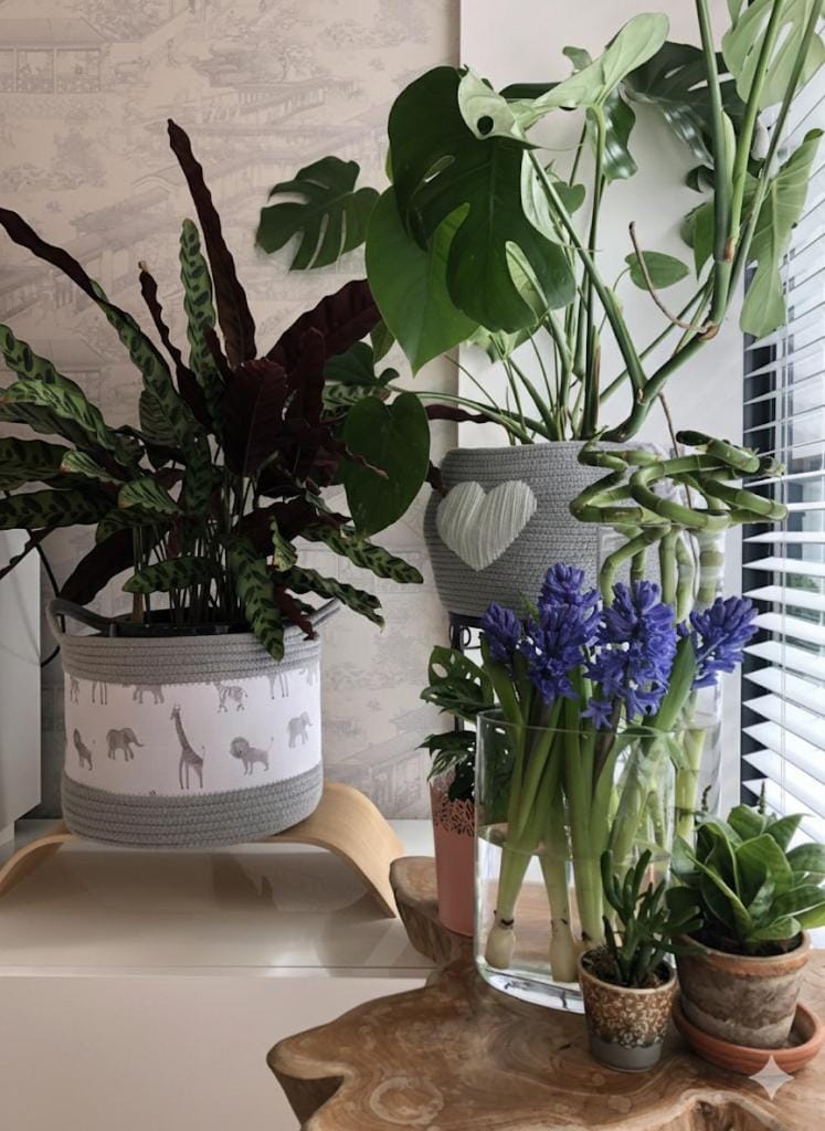 Apartment Lux Stratford London Apartment in London