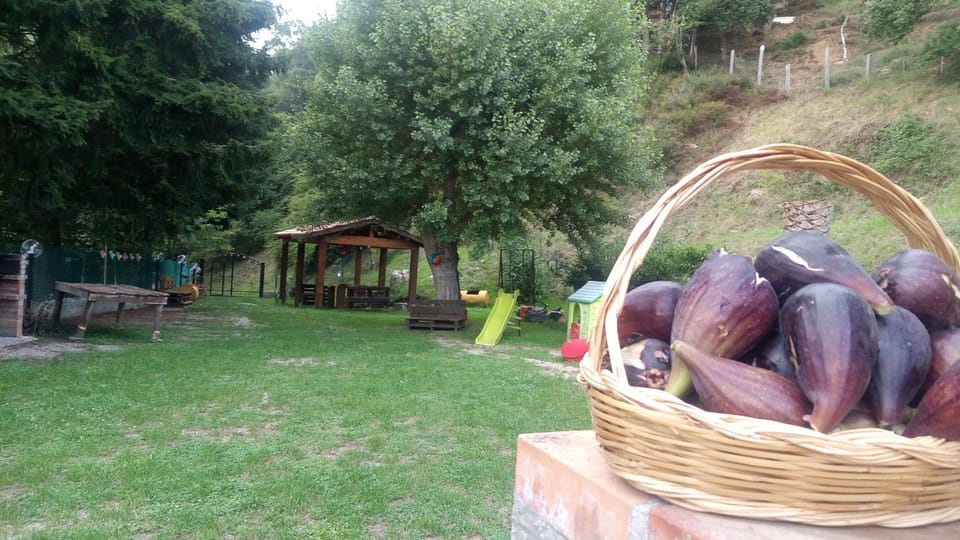 Chalet Reventino Bed and Breakfast in Lamezia Terme