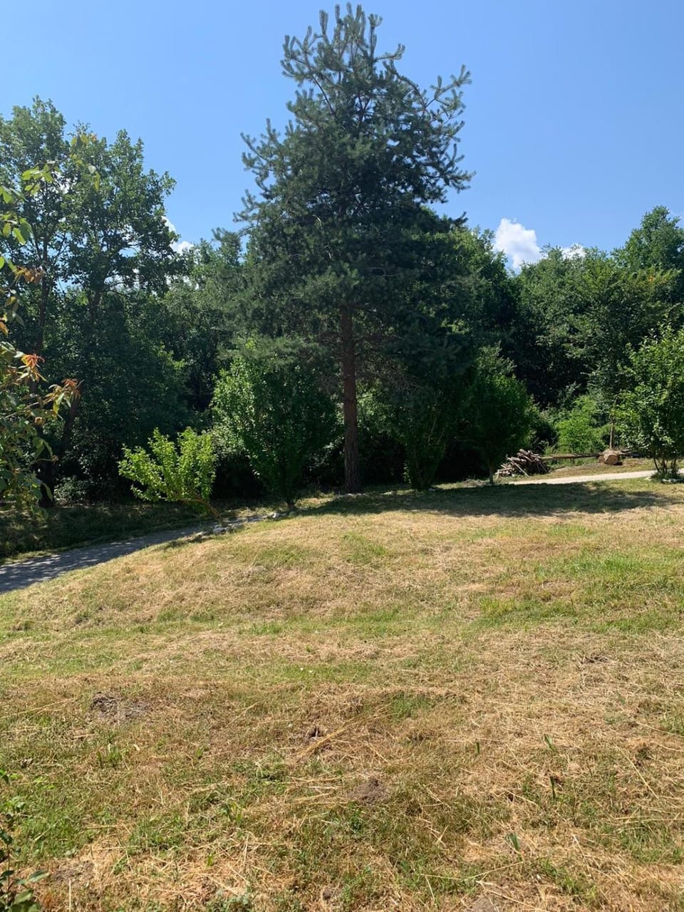 Spring, Natural landscape, Garden, Garden view