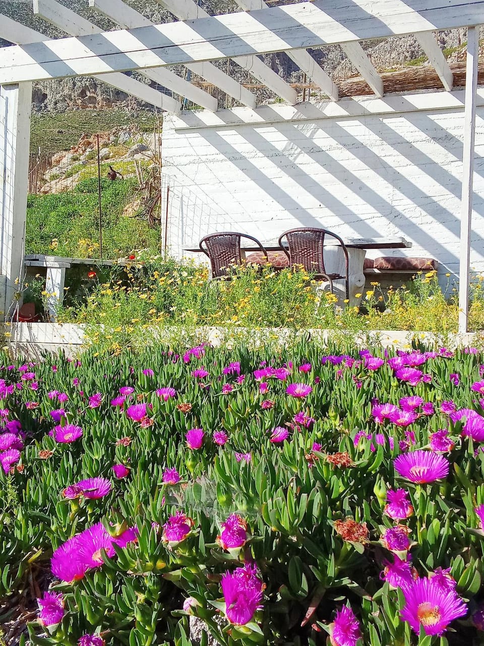 Villa Irene Apartment in Kalymnos