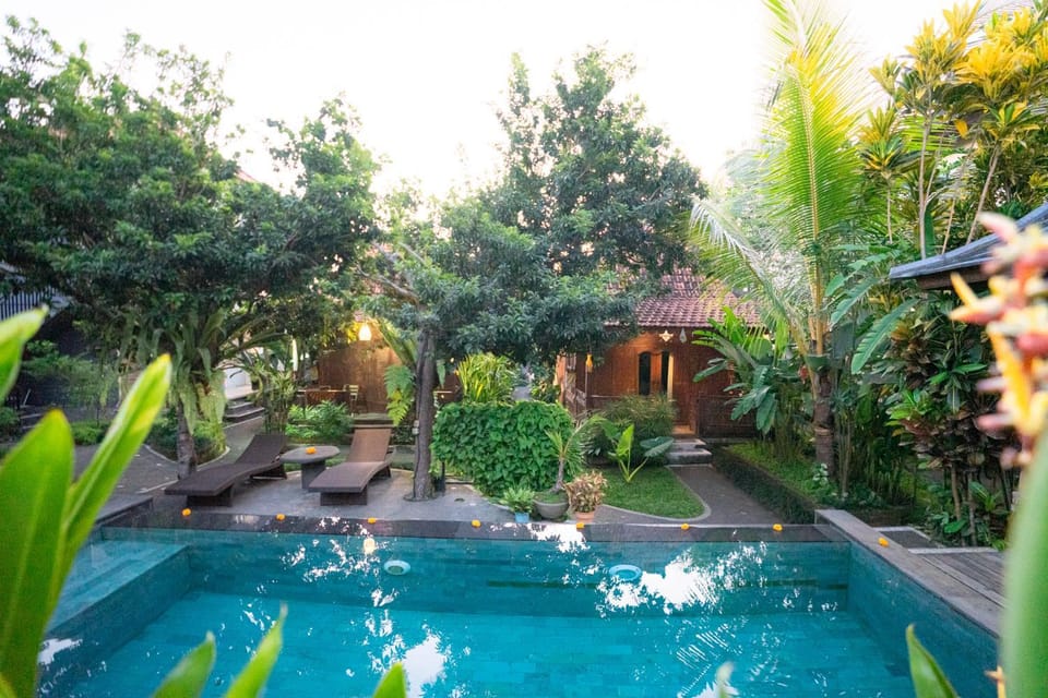 Garden, Swimming pool