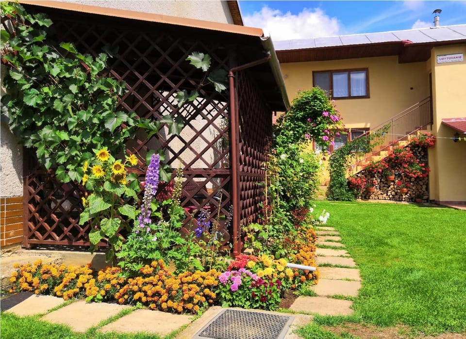 Patio, Garden