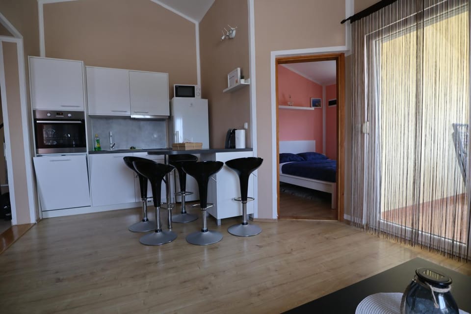 Apartman ˝Abaza˝ Apartment in Zadar County