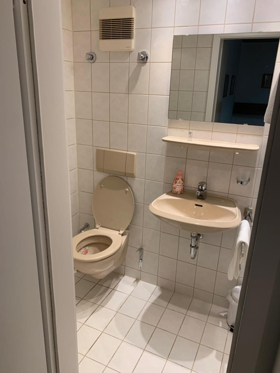 Shower, Toilet