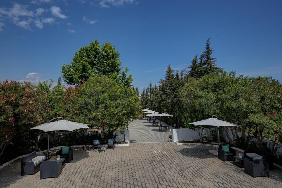 Property building, Garden