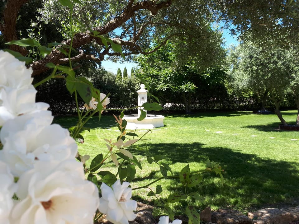 la réveuse Bed and Breakfast in Gordes