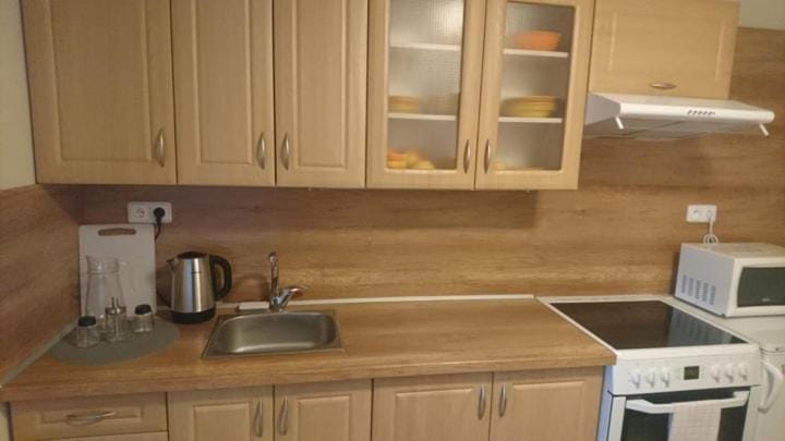 Business apartmán Apartment in Czechia