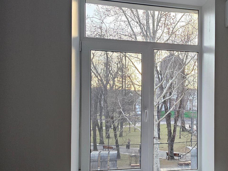 Garden view
