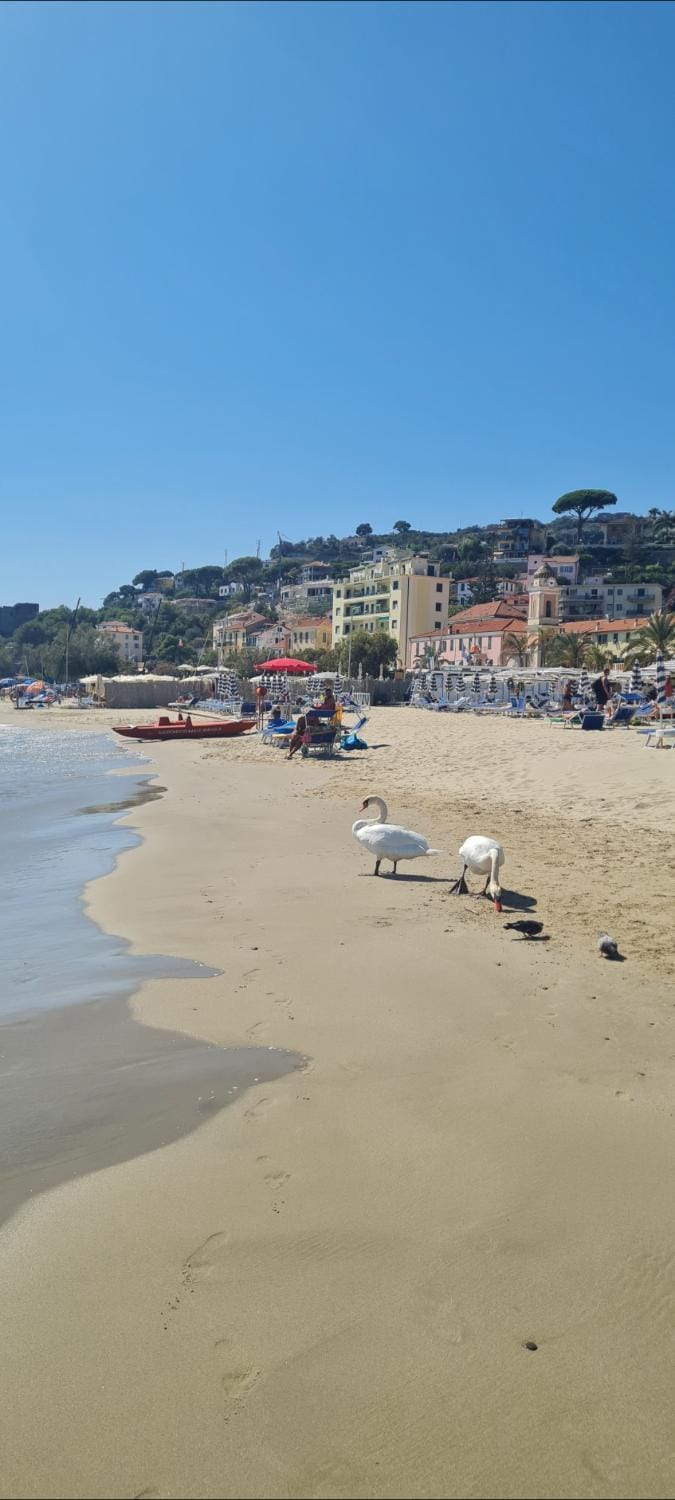 la maisonnette di anna Apartment in Liguria