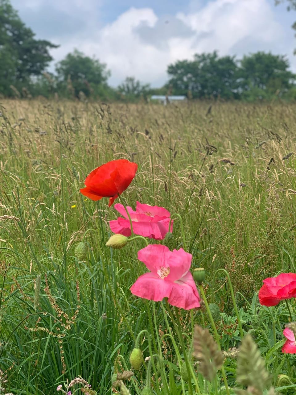 Hillcrest Barn. House in Wales