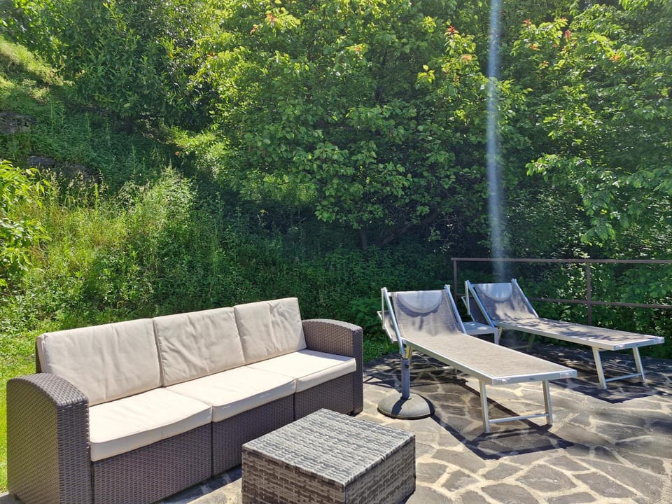 Garden, Garden view, sunbed
