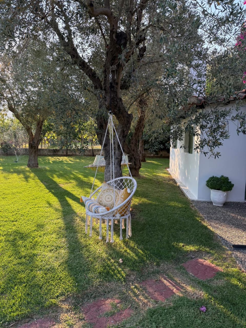 Oasis Apartment hotel in Skiathos