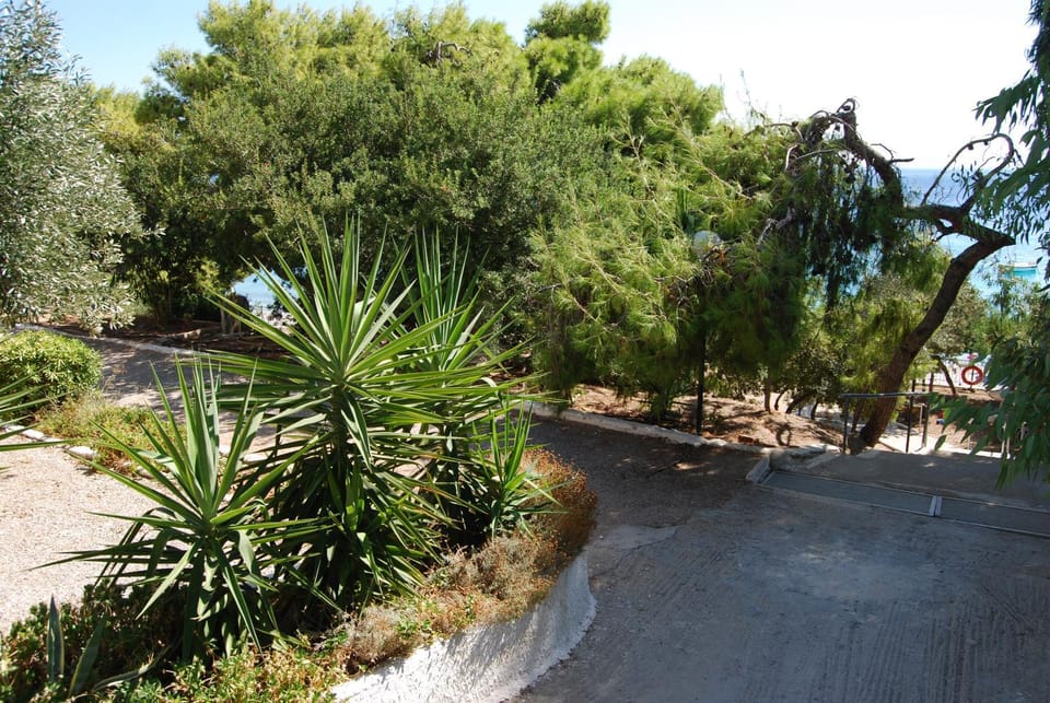 Property building, Garden