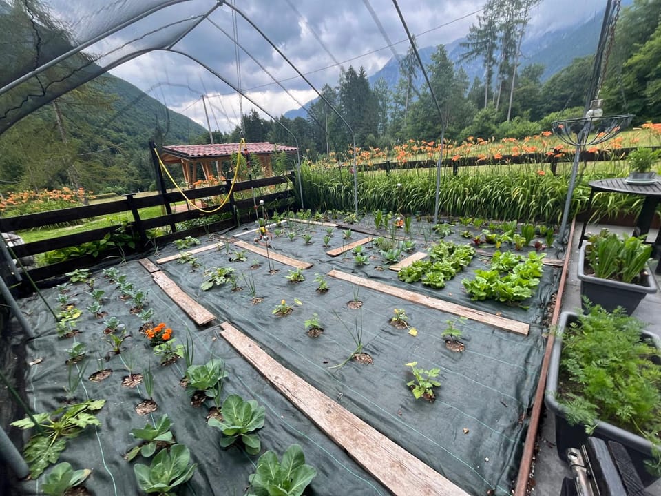 Garden, Garden view