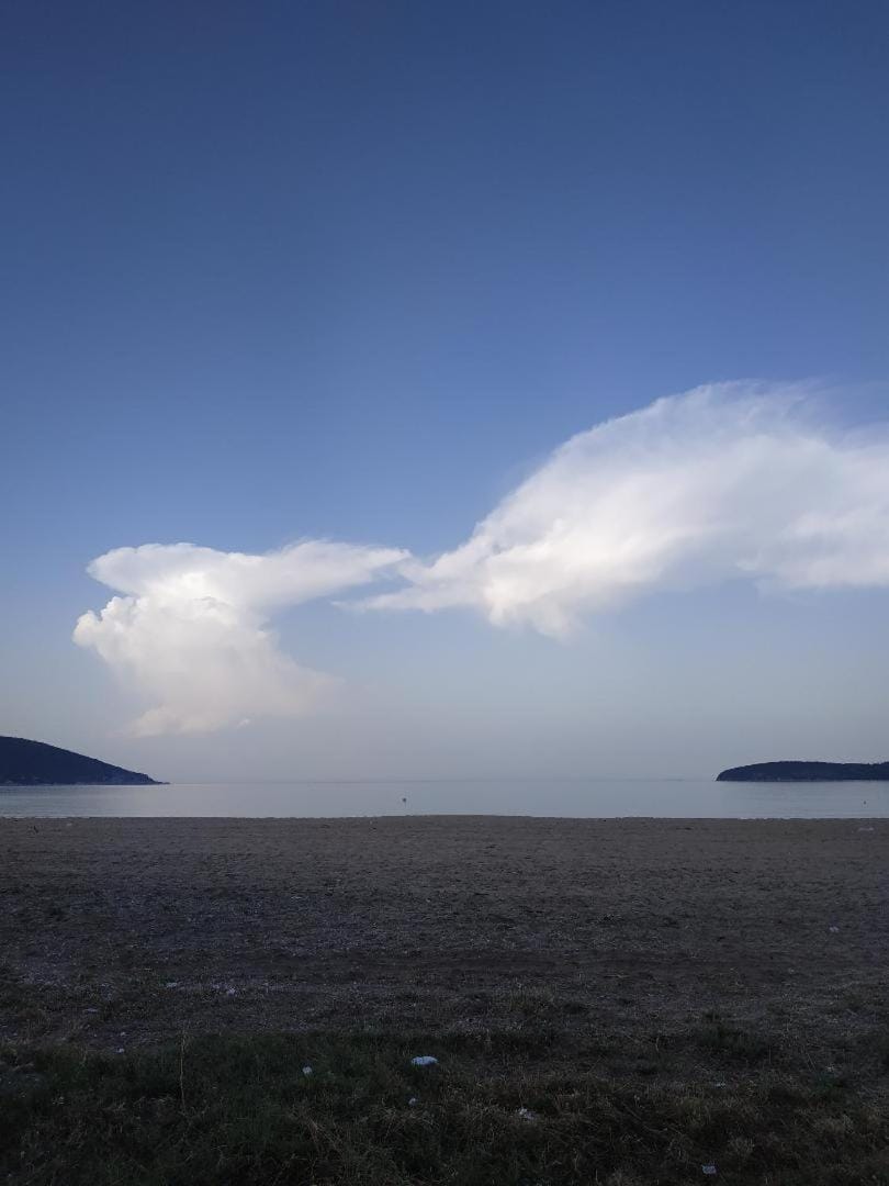 Natural landscape