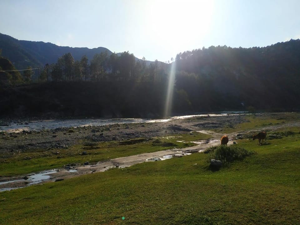 Yellow Valley Homestay Vacation rental in Himachal Pradesh