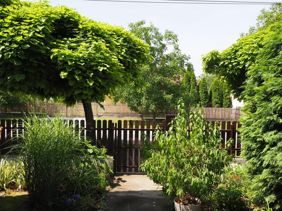 Facade/entrance, Garden