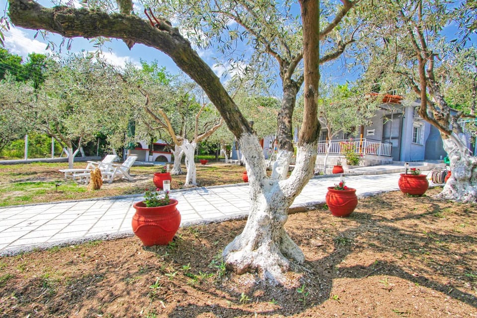 Property building, Garden