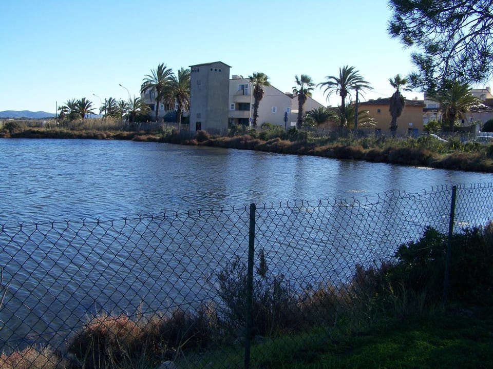 Terre et mer Apartment in La Londe-les-Maures