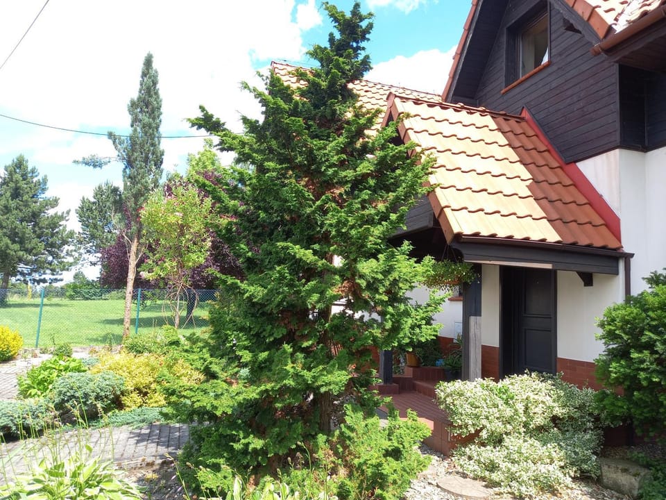 Marco Vacation rental in Poland