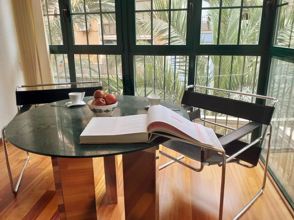 LARGE Apartment with large and sunny Terrace - Garden , ALICANTE CENTER Apartment in Alicante