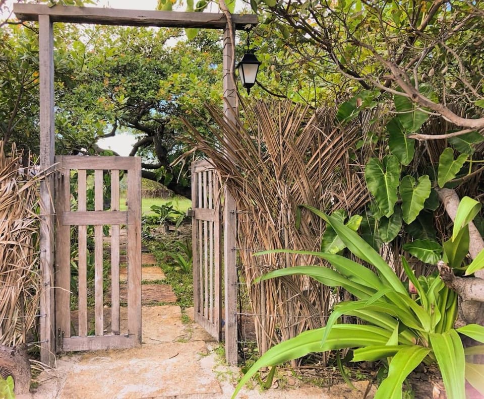 Spring, Day, Natural landscape, Garden, Garden view