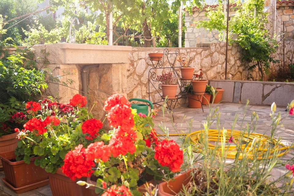 Apartments Sanja Apartment in Cres